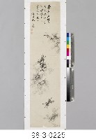 藏品(無腸公子)的圖片