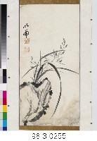 藏品(墨蘭)的圖片