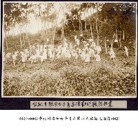 藏品(臺北州聯合女子青年團林氏編敏之相簿-0024)的圖片