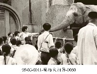 藏品(蔡淑珵相簿-0080)的圖片