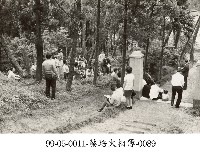 藏品(蔡淑珵相簿-0089)的圖片