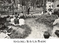 藏品(蔡淑珵相簿-0090)的圖片