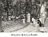 藏品(蔡淑珵相簿-0095)的圖片