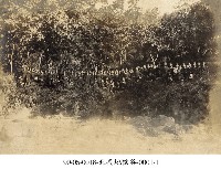 藏品(北投地獄谷-0001-1)的圖片