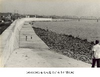 藏品(臺北地區防洪治本計劃-0069)的圖片