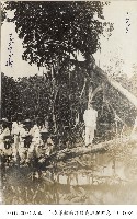 藏品(大正十年春軍艦南洋諸島巡航紀念照片-0038)的圖片