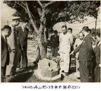 藏品(高玉樹43年任內相冊-0075)的圖片