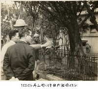 藏品(高玉樹43年任內相冊-0154)的圖片