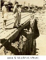 藏品(高玉樹43年任內相冊-0294)的圖片