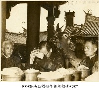 藏品(高玉樹43年任內相冊-0307)的圖片
