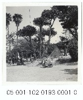 藏品(新公園的兒童遊戲)的圖片