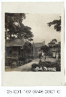 藏品(臺北動物園)的圖片