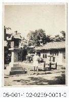 藏品(臺北植物園)的圖片