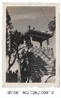 藏品(兒童樂園-瞭望台)的圖片