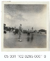 藏品(中山北路路旁合影)的圖片