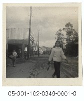 藏品(臺北街景)的圖片