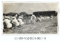 藏品(北投鐵路員工運動會拔河比賽)的圖片