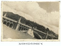 藏品(男子獨照於圓山橋旁)的圖片