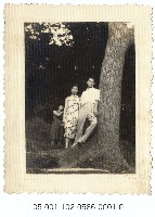 藏品(遊客與大樹合影(1))的圖片