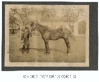 藏品(騎馬)的圖片