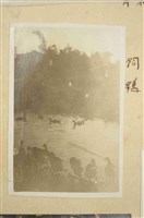 藏品(養鴨(飼鴨))的圖片