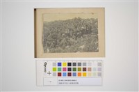 藏品(大合照)的圖片