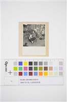 藏品(母子)的圖片