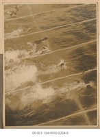 藏品(男性游泳圖)的圖片