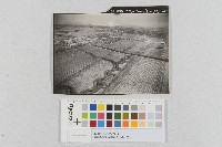 藏品(美軍轟炸豐員地區-低空轟炸照片(美軍轟炸豐原地區-低空轟炸照片))的圖片