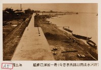 藏品(艋舺江瀕街一帶)的圖片