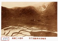 藏品(竹子湖蓬萊米原種田)的圖片