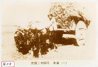 藏品(牛車)的圖片