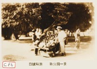 藏品(新公園一景)的圖片