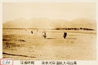 藏品(淡水河岸遠眺大屯山系)的圖片