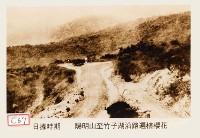藏品(陽明山至竹子湖沿路遍植櫻花)的圖片