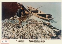 藏品(群鴨嘎嘎音樂會)的圖片