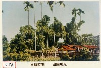 藏品(田園風光)的圖片