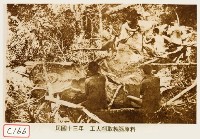 藏品(工人削取製樟腦原料)的圖片