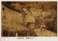 藏品(農舍與水牛)的圖片