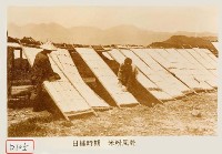 藏品(米粉風乾)的圖片