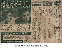 藏品(幸福（かりそめの幸福）)的圖片