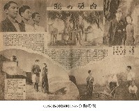 藏品(白蘭之歌)的圖片