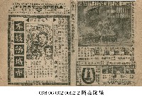 藏品(菲洲皇后)的圖片