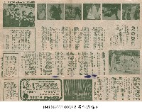 藏品(美的祭典)的圖片