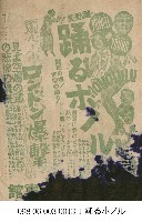 藏品(舞動夏威夷(踊るボノル))的圖片