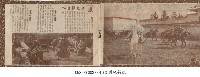 藏品(鳳片拍攝花絮)的圖片
