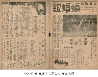 藏品(蝙蝠組)的圖片