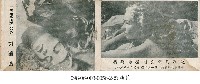 藏品(慾海花)的圖片