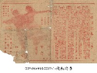 藏品(飛燕迎春)的圖片