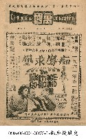 藏品(癡鳳求凰)的圖片